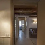 Tiziano * Venedig
